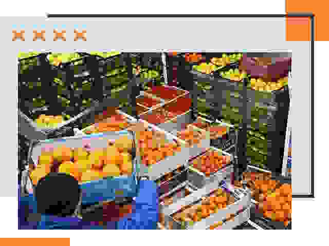 Перевозка скоропортящихся продуктов в Новошахтинске